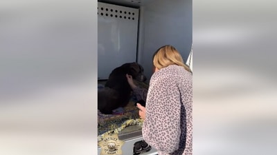 The image, taken from the Facebook video, shows the dog reuniting with its human after 12 years. (Facebook/San Joaquin County Sheriff's Office)