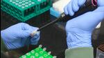 A technician uses a pipette while preparing test samples inside a Covid-19 genome sequencing laboratory at the Institute of Liver and Biliary Sciences in New Delhi. (Bloomberg) A technician uses a pipette while preparing test samples inside a Covid-19 genome sequencing laboratory at the Institute of Liver and Biliary Sciences in New Delhi. (Bloomberg)