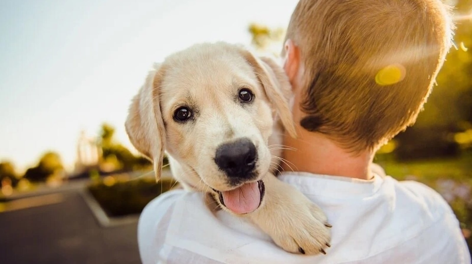 A happy hot sale pet