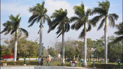 Rain and gusty winds caused minimum temperature in Chandigarh to rise by 6 notches. (Sant Arora/HT)