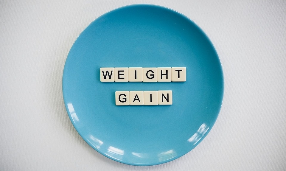 “We found that the small change approach was not more effective than monitoring alone in preventing weight gain at 2 or 3 years in adults with overweight or obesity.” (Pixabay)