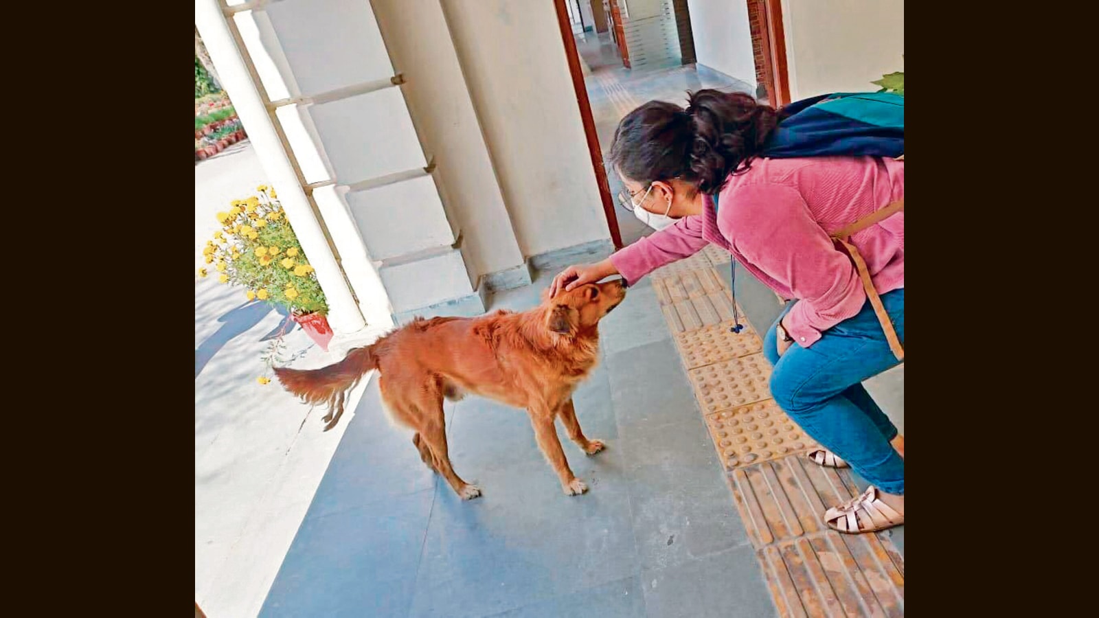 #Backtocampus : Our furry friends excited to see us!