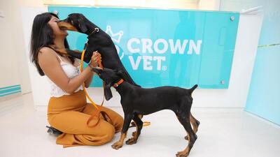 Crown Vet opened its first clinic in Mumbai in 2016 and has now expanded to Delhi, Pune and Bengaluru. (Picture credit: Crown vet)