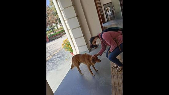 Devina Kapoor su Sheru Devina Kapoor su Sheru
