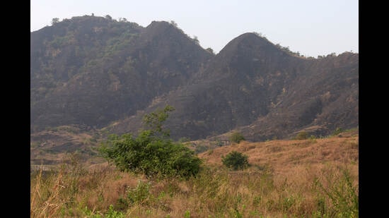 Environmentalists concerned over hill cutting in Navi. (For representational purposes only) (HT FILE PHOTO)