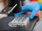 Scientists have said that the discovery of this new bacterium is eye-opening and its features have astounded them.(Reuters file photo. Representative image)