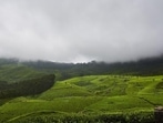 Munnar
