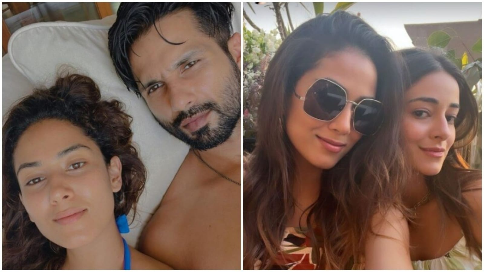 Mira posts loved-up pic with ‘best husband’ Shahid, chills with Ananya ...