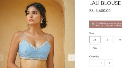 The cropped bralette is called Lali Blouse and costs  <span class='webrupee'>₹</span>6,600. The saree and blouse set will cost you  <span class='webrupee'>₹</span>22,400 approximately. (baisegaba.com)