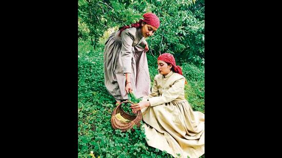 Captivating valleys at Kotgarh Captivating valleys at Kotgarh