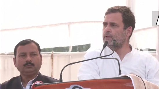 Congress leader Rahul Gandhi in Amethi (ANI)