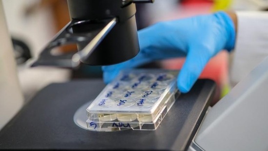 Scientists have said that the discovery of this new bacterium is eye-opening and its features have astounded them.(Reuters file photo. Representative image) Scientists have said that the discovery of this new bacterium is eye-opening and its features have astounded them.(Reuters file photo. Representative image)
