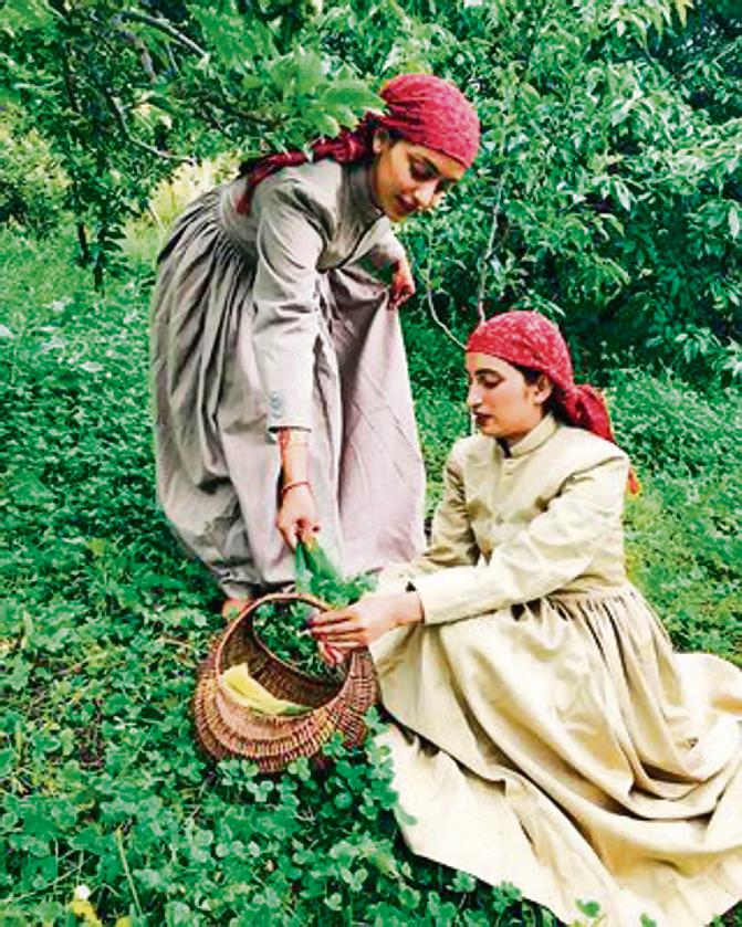 Captivating valleys at Kotgarh Captivating valleys at Kotgarh
