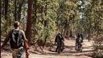 The improvised explosive device (IED) planted by Maoists went off in Bihar’s Aurangabad district late on Friday evening (File/Representational Image/PTI) The improvised explosive device (IED) planted by Maoists went off in Bihar’s Aurangabad district late on Friday evening (File/Representational Image/PTI)