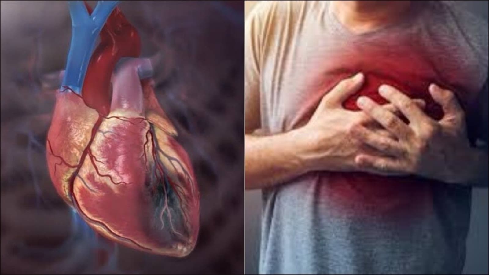 World Heart Day: Difference between cardiac arrest, heart attack, heart  failure