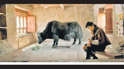 The protagonist Ugyen, seen here with the titular yak, dreams of migrating to Australia and becoming a singer. The protagonist Ugyen, seen here with the titular yak, dreams of migrating to Australia and becoming a singer.