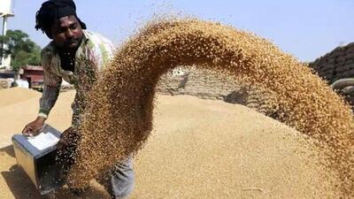 The Madhya Pradesh government is aiming to help farmers to sell their produce directly to multi-nationals. (File/HT Photo) The Madhya Pradesh government is aiming to help farmers to sell their produce directly to multi-nationals. (File/HT Photo)