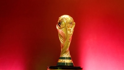 General view of the FIFA World Cup trophy. (REUTERS)