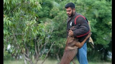 Canine coach Adnaan Khan, say the biggest problem has been with those who did not see the importance of a behaviourist till the problem became too much to handle. And now they want instant results. Canine coach Adnaan Khan, say the biggest problem has been with those who did not see the importance of a behaviourist till the problem became too much to handle. And now they want instant results.