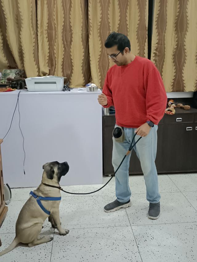 Delhi-based trainer Dikshit Wadhwa, says lack of socialising with other pets has led to many dogs becoming dependent on their humans a bit too much. Delhi-based trainer Dikshit Wadhwa, says lack of socialising with other pets has led to many dogs becoming dependent on their humans a bit too much.