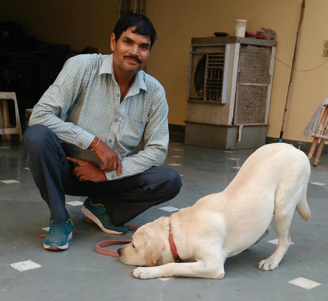 Canine trainer Ambika Singh teaches command tactics to a pet. Canine trainer Ambika Singh teaches command tactics to a pet.