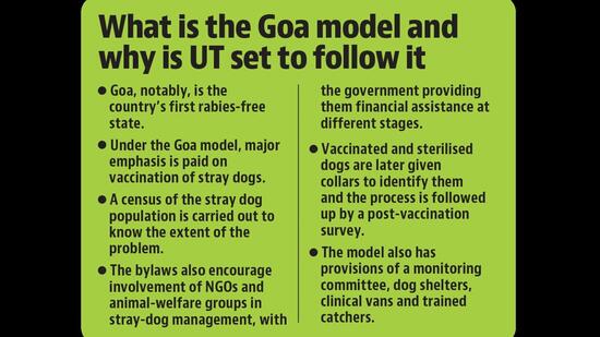 Chandigarh administration is likely to borrow elements from the successful Goa model while framing new dog by-laws. (HT Photo)