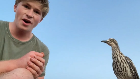 Screengrab from the Instagram video that shows Robert Irwin teaching anger management to an angry curlew bird.&nbsp;(instagram/@robertirwinphotography)