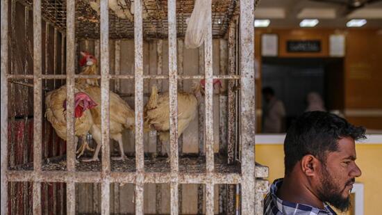 The Tripura high court in its order said that meat should be sold at the proposed abattoir or slaughter house, and till the installation comes up, can be sold at locations provided by the municipality (Bloomberg/Representative use)