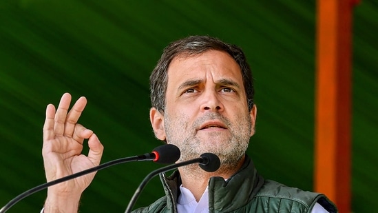 Congress leader Rahul Gandhi.(Twitter / @INCIndia)