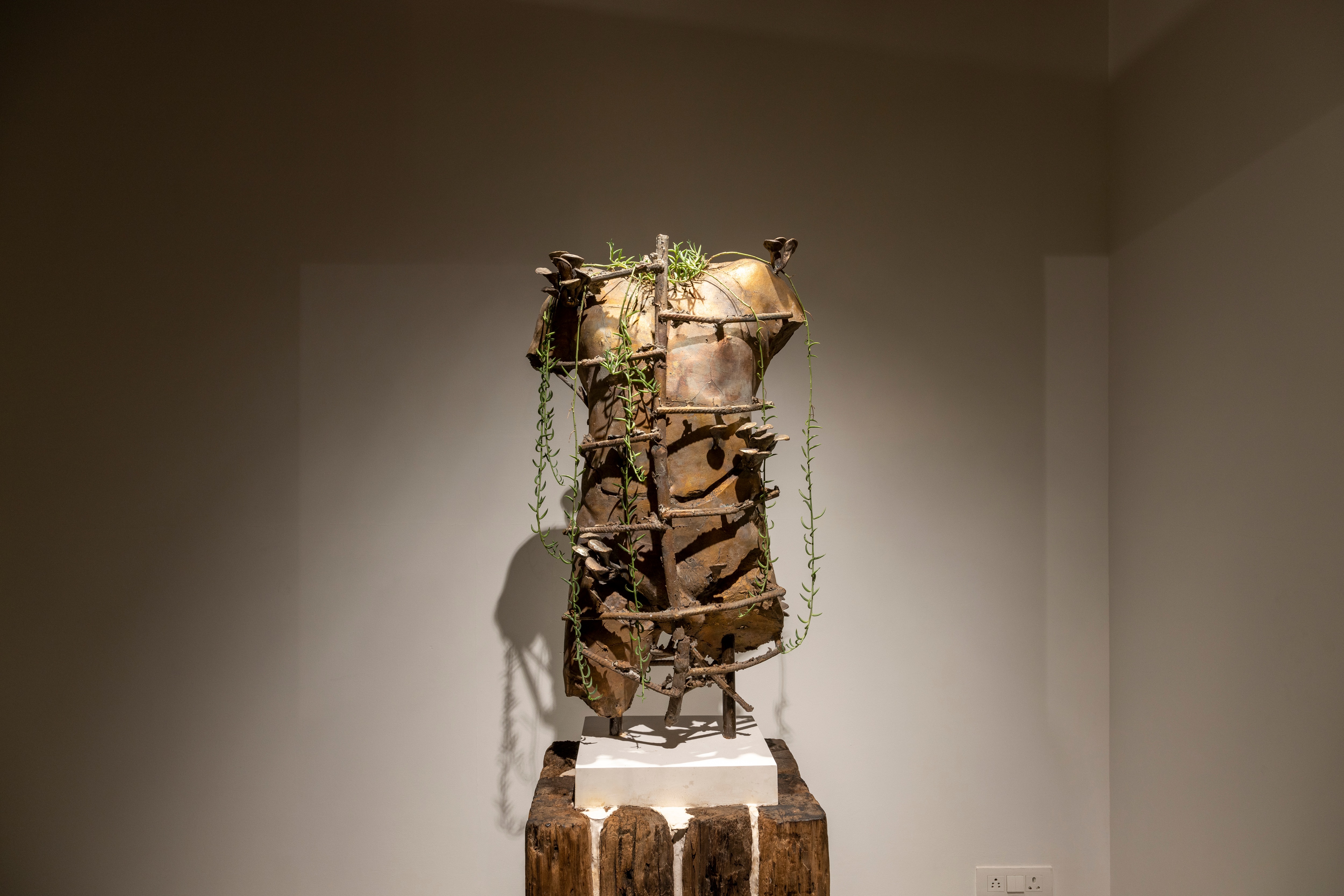 Nature Morte – Subodh Gupta