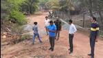 Officials survey the peacock trail. (Sourced) Officials survey the peacock trail. (Sourced)