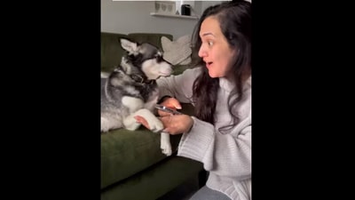 The woman tries a dog translator app in this viral Instagram video. (instagram/@lifewithkleekai) The woman tries a dog translator app in this viral Instagram video. (instagram/@lifewithkleekai)