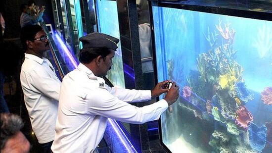 Fish Aquarium Maintenance Service at best price in Mumbai