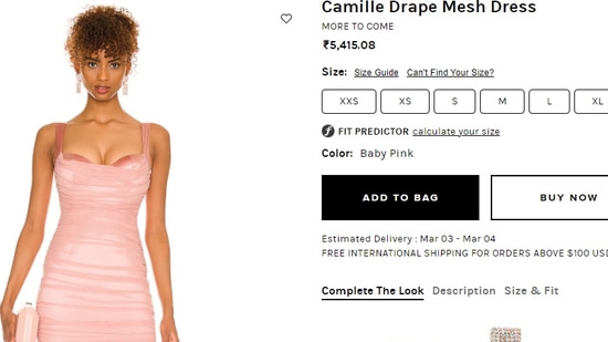 The Camille Drape Mesh Dress(revolve.com)