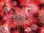 Scientists must urgently answer whether these infections are sexually transmissible, how often and how long that happens, and who is at risk.