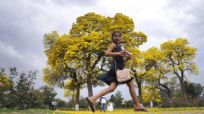Multiple western disturbances are expected between March and May in Chandigarh and will keep the maximum temperature below normal. (HT File Photo) Multiple western disturbances are expected between March and May in Chandigarh and will keep the maximum temperature below normal. (HT File Photo)