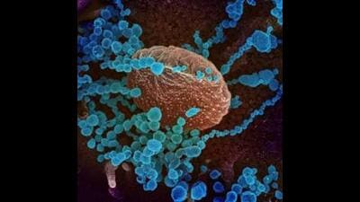 Ludhiana reported nine fresh Covid cases in the last 24 hours. (via REUTERS)