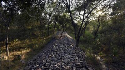There is No Earth B began the drive in Central Ridge towards the end of 2019, and it is currently being carried out in collaboration with the Robin Hood Army, a volunteer-based organisation involved in feeding the hungry, as well as volunteers of the Fridays For Future (Delhi) initiative. (Representational image/HT Archive)