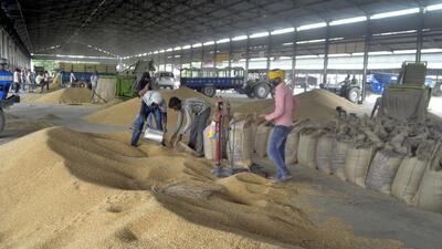 The Centre’s ministry of food and public distribution has asked the Punjab government to restrict wheat procurement to 131 lakh tonne this rabi season. (HT File Photo) The Centre’s ministry of food and public distribution has asked the Punjab government to restrict wheat procurement to 131 lakh tonne this rabi season. (HT File Photo)