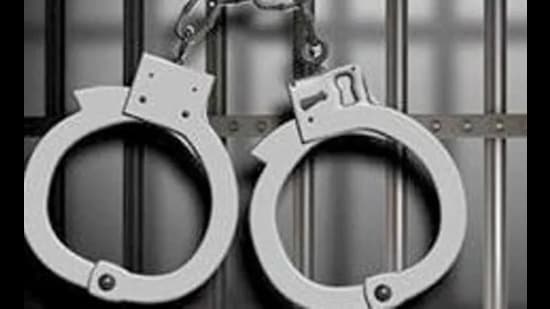 The cyber crime wing of Punjab Police on Wednesday arrested a student involved in circulating morphed sexually explicit images of faculty members of a reputed private university in Punjab by using hi-tech hacking tools.