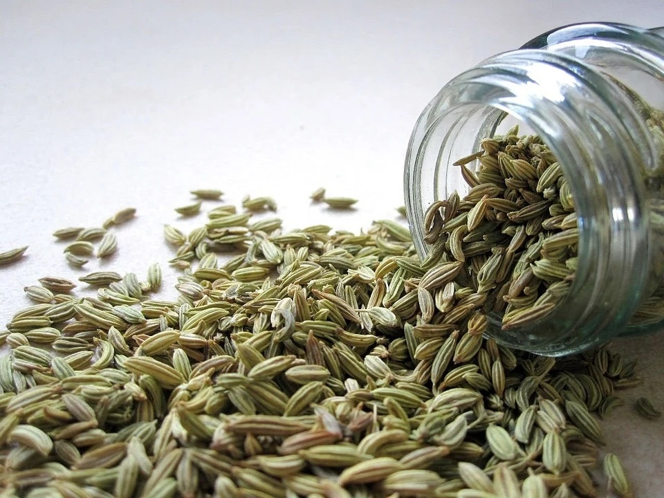 Loaded with calcium, Vitamin C, iron, magnesium and potassium, fennel seeds apart from their role in weight loss are also said to prevent cancer (Pixabay) Loaded with calcium, Vitamin C, iron, magnesium and potassium, fennel seeds apart from their role in weight loss are also said to prevent cancer (Pixabay)