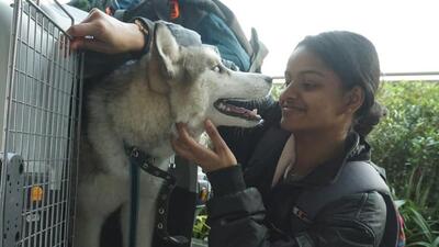 Many people took to social media to laud Kerala medical student Arya Aldrin and her commitment towards her pet. (SOURCED.) Many people took to social media to laud Kerala medical student Arya Aldrin and her commitment towards her pet. (SOURCED.)