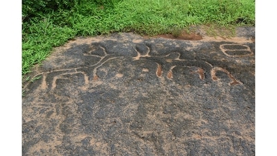 Petroglyphs or rock carvings at Sanguem in South Goa. Some date to 8000 BCE. “These petroglyphs are carved into laterite stone and depict animals such as bulls, deer, bison, as well as human figures and a woman dancing. Most visitors have no idea these are here, along the Kushawati river, and walk right past them,” Fernandes says. (Photo courtesy Pantaleão Fernandes ) Petroglyphs or rock carvings at Sanguem in South Goa. Some date to 8000 BCE. “These petroglyphs are carved into laterite stone and depict animals such as bulls, deer, bison, as well as human figures and a woman dancing. Most visitors have no idea these are here, along the Kushawati river, and walk right past them,” Fernandes says. (Photo courtesy Pantaleão Fernandes )
