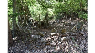 A chamber made of stone slabs in Cotigao, Canacona, once marked a burial ground, thousands of years ago. Villagers still gather around it for rituals and ceremonies, and work to protect and preserve it. Stone circles like this one can be been found in villages across South Goa. (Photo courtesy Pantaleão Fernandes ) A chamber made of stone slabs in Cotigao, Canacona, once marked a burial ground, thousands of years ago. Villagers still gather around it for rituals and ceremonies, and work to protect and preserve it. Stone circles like this one can be been found in villages across South Goa. (Photo courtesy Pantaleão Fernandes )