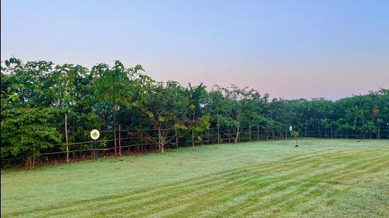 Transformed landfill site in Navi Mumbai. (HT PHOTO)