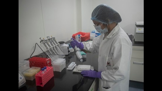 All 237 samples collected from BMC areas were infected with the Omicron variant or its other subtypes. (Pratham Gokhale/HT Photo) All 237 samples collected from BMC areas were infected with the Omicron variant or its other subtypes. (Pratham Gokhale/HT Photo)