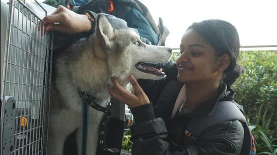 Many people took to social media to laud Kerala medical student Arya Aldrin and her commitment towards her pet. (SOURCED.)