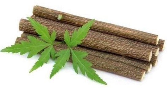 Bark of Neem tree may help treat and reduce coronavirus spread: Study (Pinterest) Bark of Neem tree may help treat and reduce coronavirus spread: Study (Pinterest)