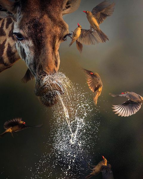 (Photo: Shaaz Jung)
