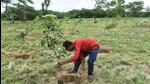 Delhi had 20% green cover in 2013, which has risen to 23.06% in 2021, as per the India State of Forest Report 2021. Delhi has about 3% more green cover than the national standard parameters. (Representative image/HT Archive) Delhi had 20% green cover in 2013, which has risen to 23.06% in 2021, as per the India State of Forest Report 2021. Delhi has about 3% more green cover than the national standard parameters. (Representative image/HT Archive)